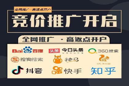 搜索引擎推广的佼佼者——百度搜索推广案例